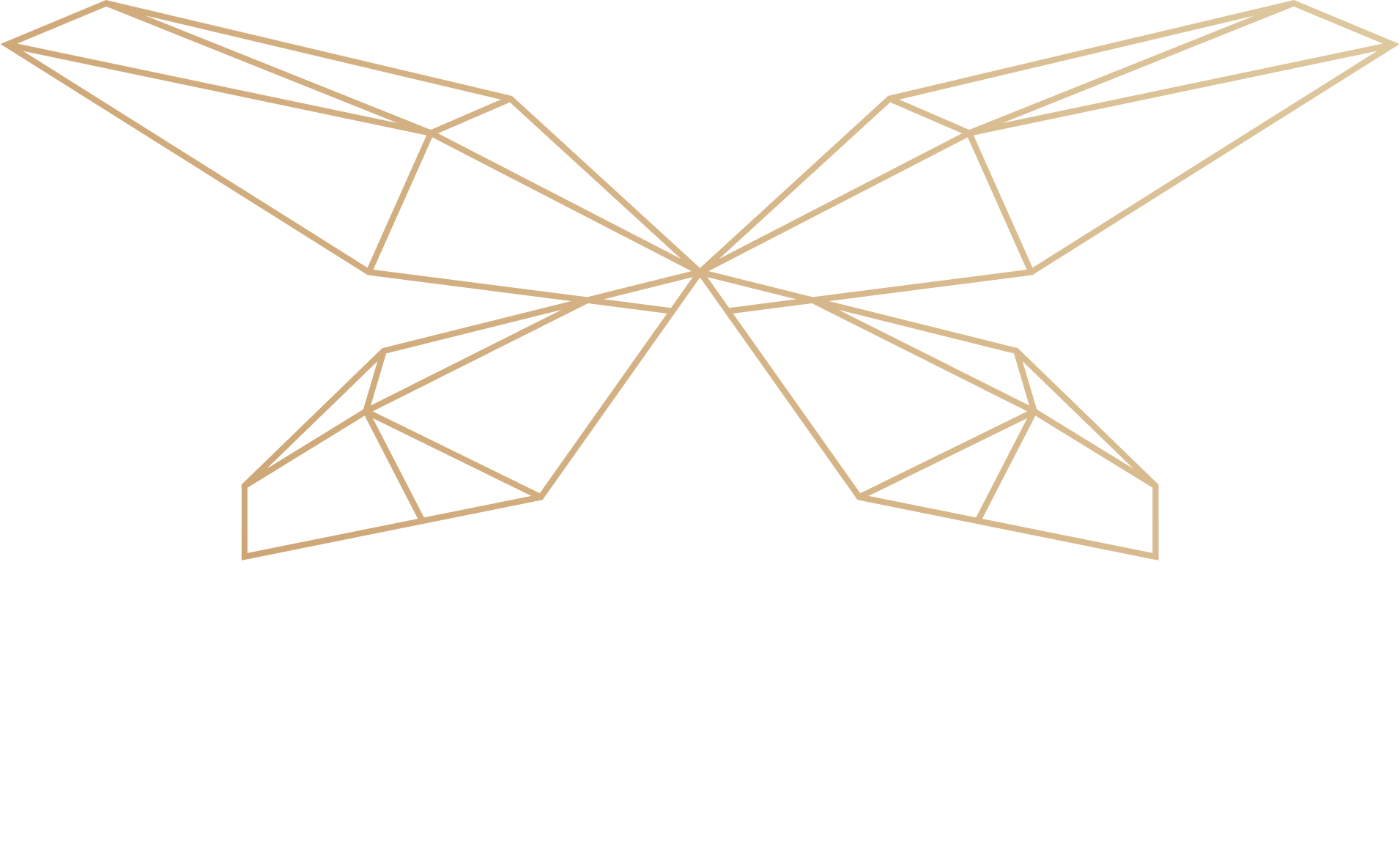 async logo